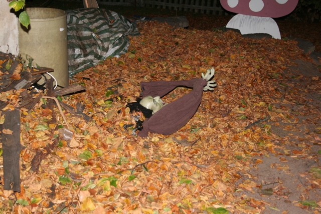 IMG_3635.JPG
